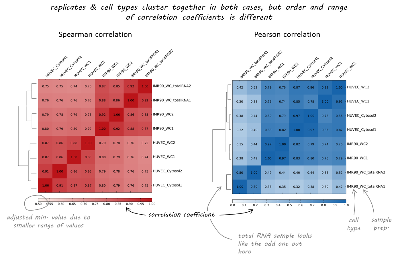 ../../_images/QC_bamCorrelate_RNAseq.png